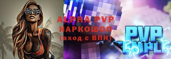 индика Каменск-Шахтинский