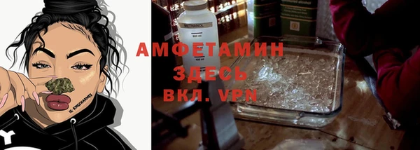 индика Каменск-Шахтинский