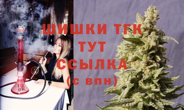 эйфоретик Каменка