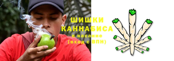 эйфоретик Каменка
