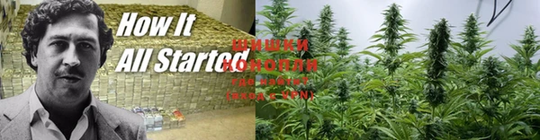 индика Каменск-Шахтинский