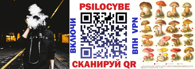Псилоцибиновые грибы мицелий  Купить закладки  Няндома 