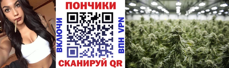 Купить где  Няндома  Марихуана ГИДРОПОН 